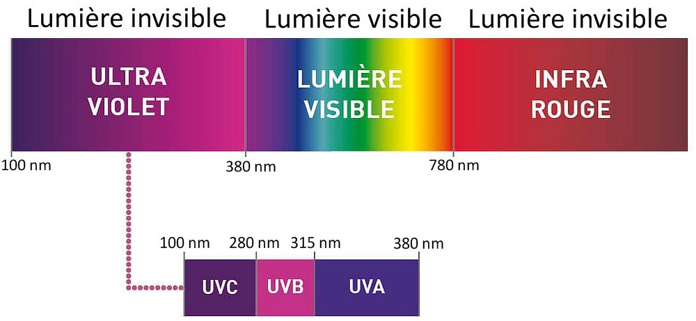 Décomposition du spectre lumineux : rayonnement UV, IR et lumière visible